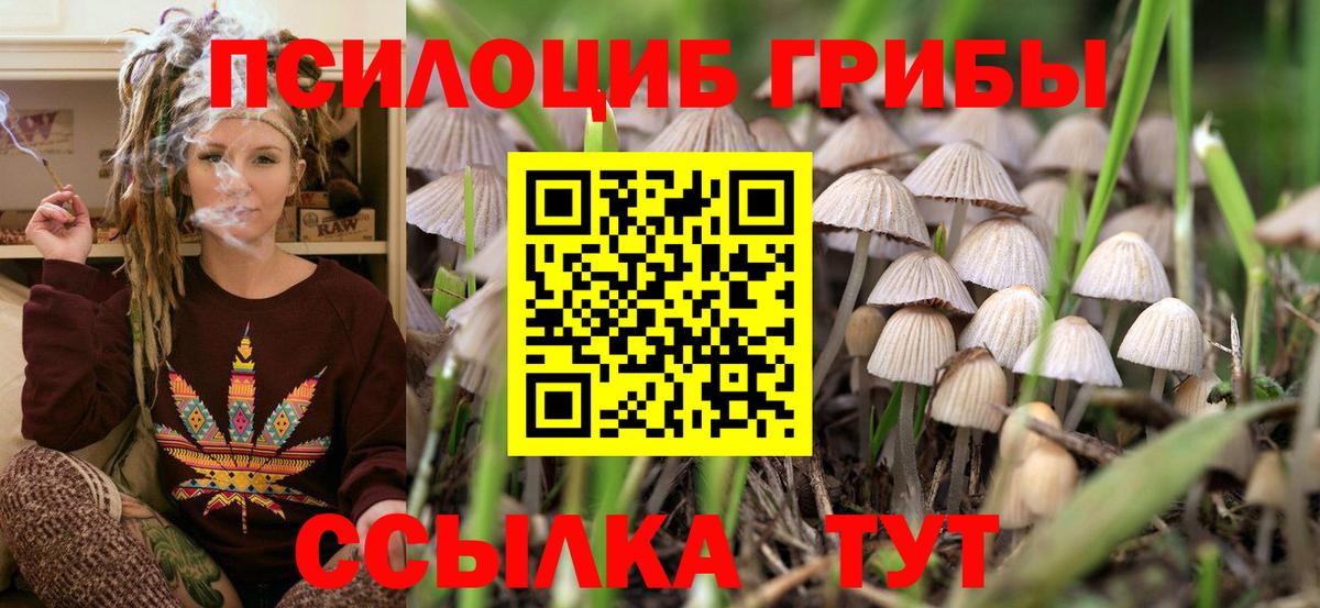 Галлюциногенные грибы Magic Shrooms  Вход с VPN  Нефтекумск  Псилоцибиновые грибы Magic Shrooms 