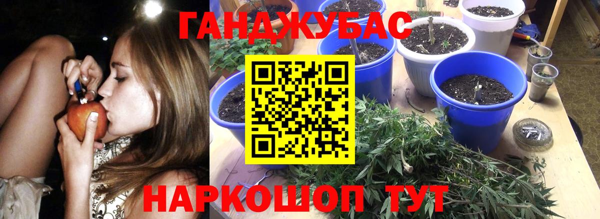 Конопля сатива  Бошки марихуана VHQ  Нефтекумск  Бошки марихуана план  Вход с VPN 